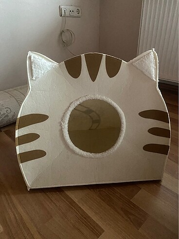 Kedi evi