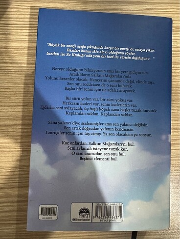 Lordlar ve Varisler Kitap