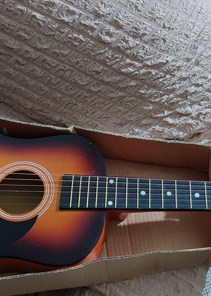 Eğitim Gitarı - Görsel 2