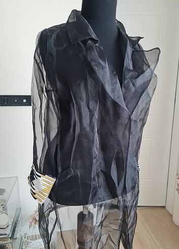 Organize blazer ceket
