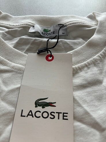 m Beden Lacoste Erkek Tişört