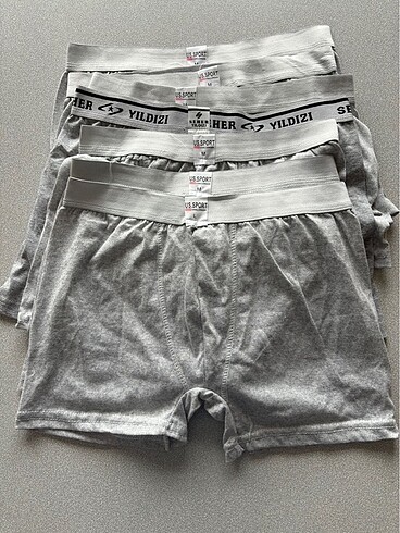 Boxer 7 li