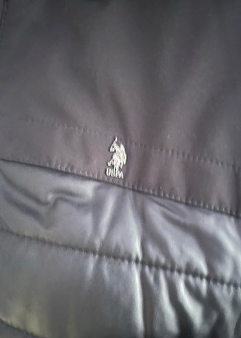 U.S Polo Assn. 52