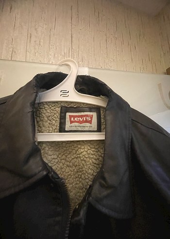 Levis xl