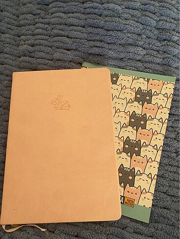 Çizgili defter