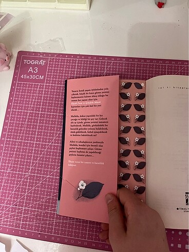  Beden Renk Kiraz Ağacı Aramızdaki Mesafe