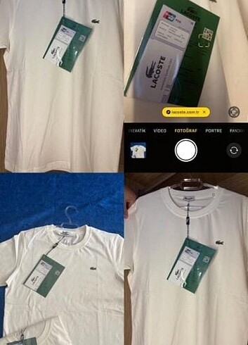 Premium Lacoste Basic Tshirt 