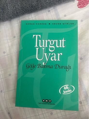 Roman/şiir