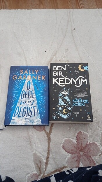 Sally gardner o gece her şey değişti (ciltli) - natsume söseki 