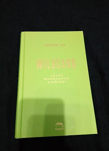  WILDCARD ( Warcross 2)