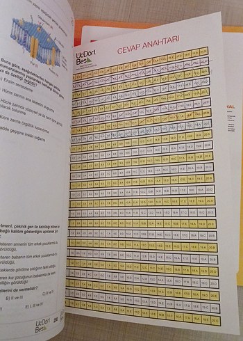 YKS 3'lü Denemeler - Görsel 11