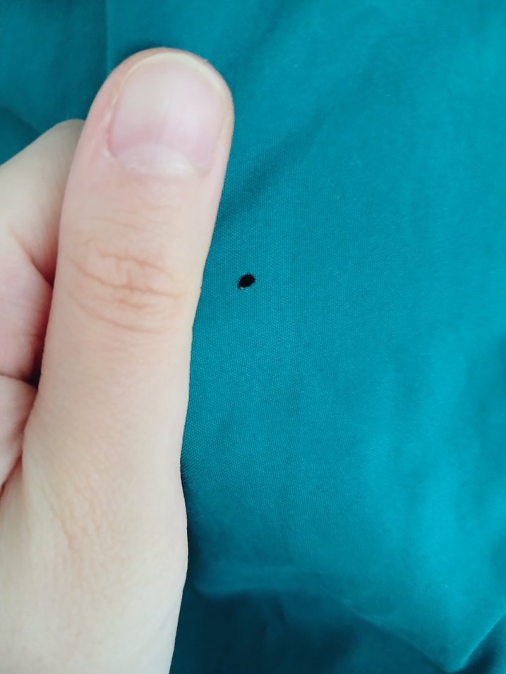 Lotto Yeşil Unisex Eşofman Takımı - Görsel 4