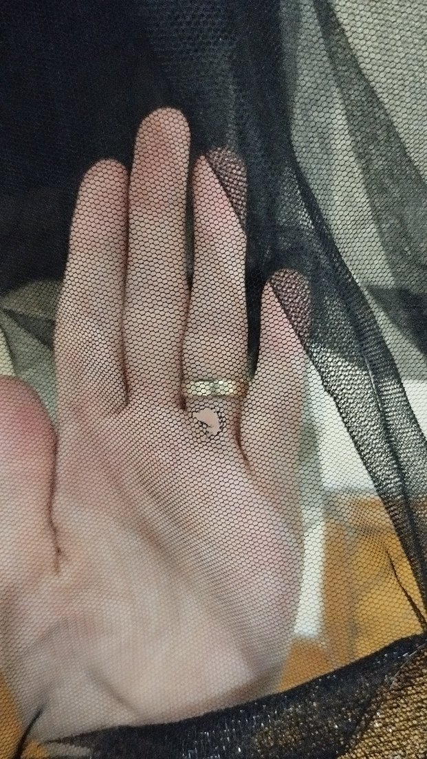 Uzun Siyah Gotik Kadın Abiye Elbise - Görsel 2