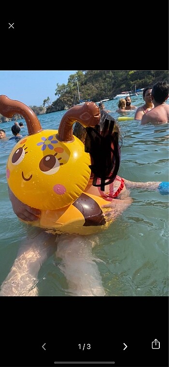 Deniz simidi