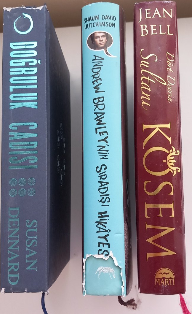 ciltli Karışık romanlar - Görsel 3