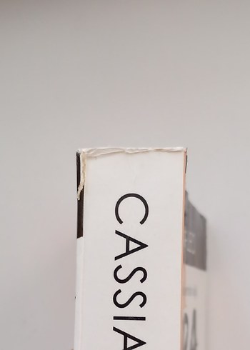 Çeşitli Roman Kitapları Seti - Görsel 4