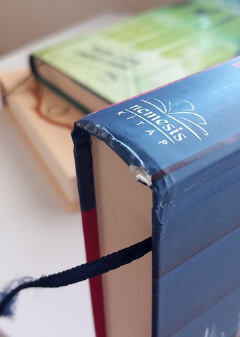 O Kız Ben Değilim ,cam hücre, kanatların ağırlığı - Görsel 3