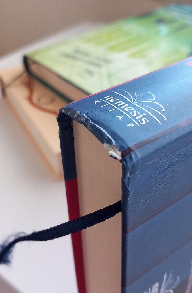 O Kız Ben Değilim ,cam hücre, kanatların ağırlığı - Görsel 3