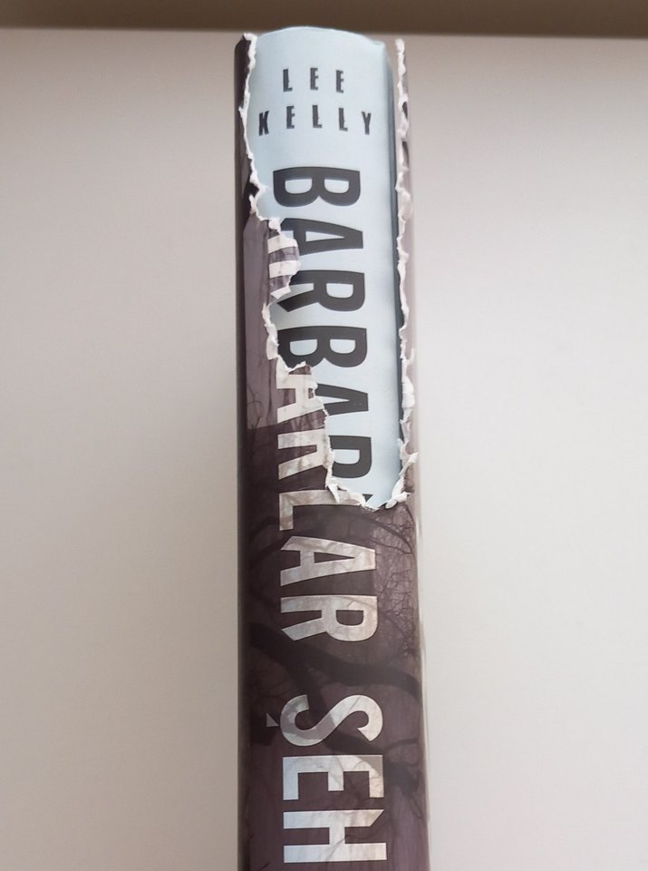 Barbarlar Şehri - Lee Kelly Roman - Görsel 2