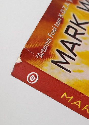 Mark Walden- KOZA serisi
Mindy McGinnis- Bir yudum su serisi - Görsel 6