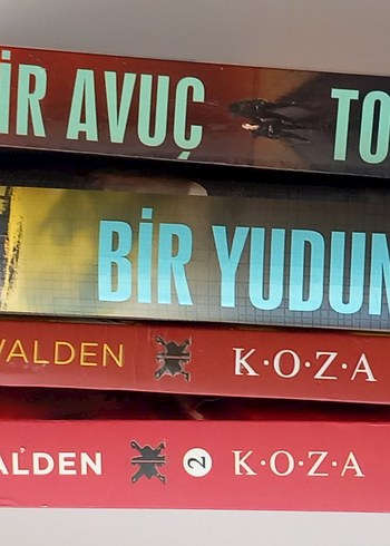 Mark Walden- KOZA serisi
Mindy McGinnis- Bir yudum su serisi - Görsel 3