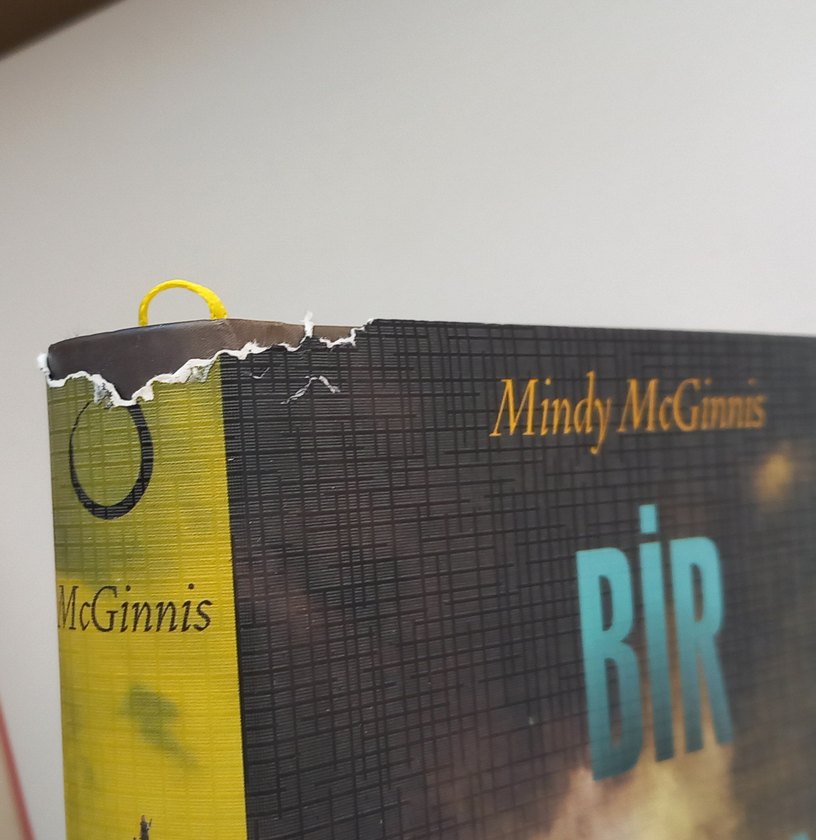 Mark Walden- KOZA serisi
Mindy McGinnis- Bir yudum su serisi - Görsel 4