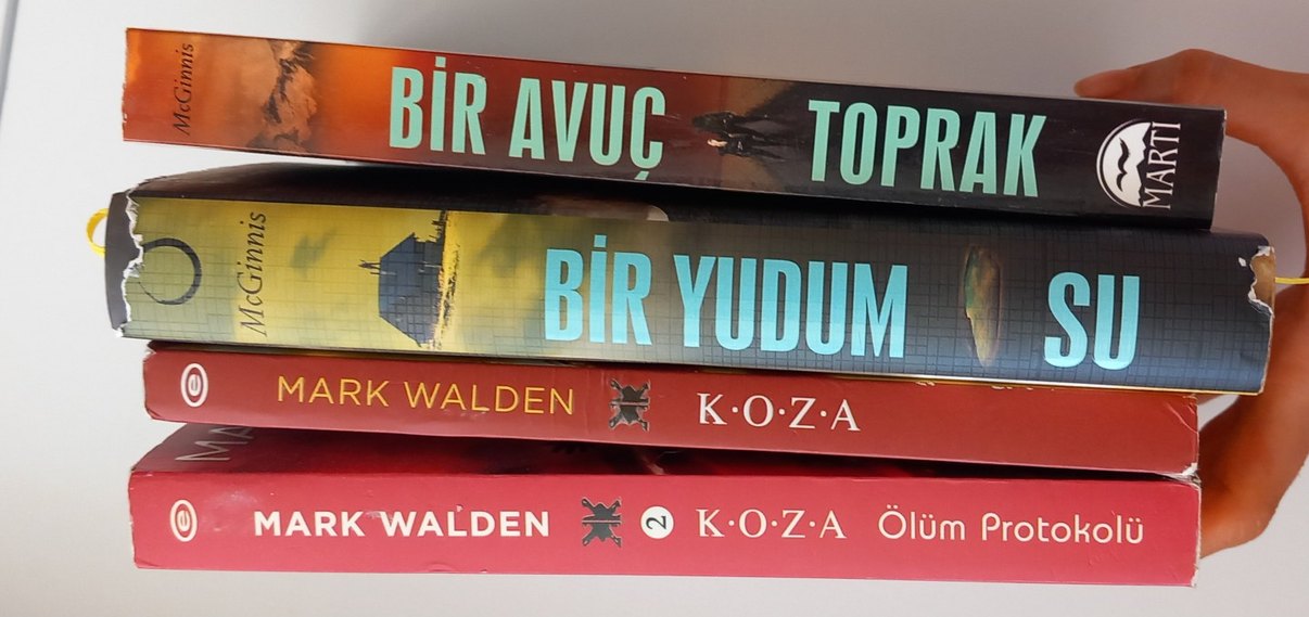 Mark Walden- KOZA serisi
Mindy McGinnis- Bir yudum su serisi - Görsel 3