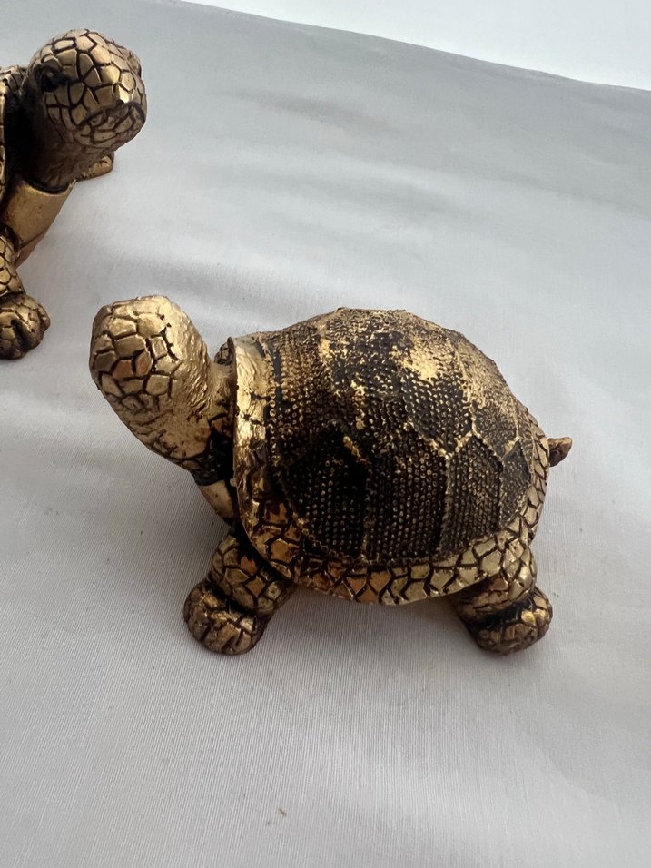 Koyu kahve Rengi Kaplumbağa Biblo Seti - Görsel 4