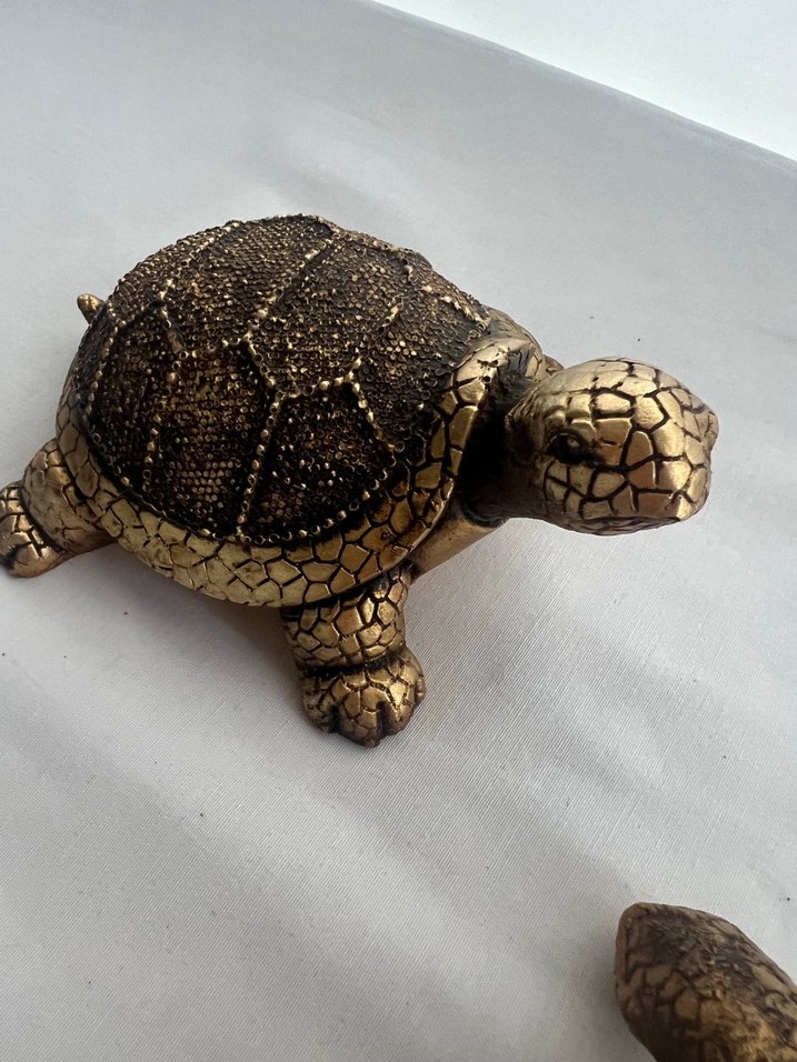 Koyu kahve Rengi Kaplumbağa Biblo Seti - Görsel 3