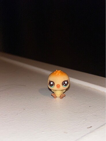 Lps miniş bebek civciv
