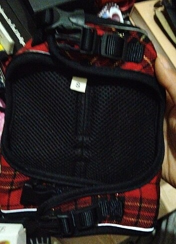 Kedi köpek bel tasması - Görsel 2