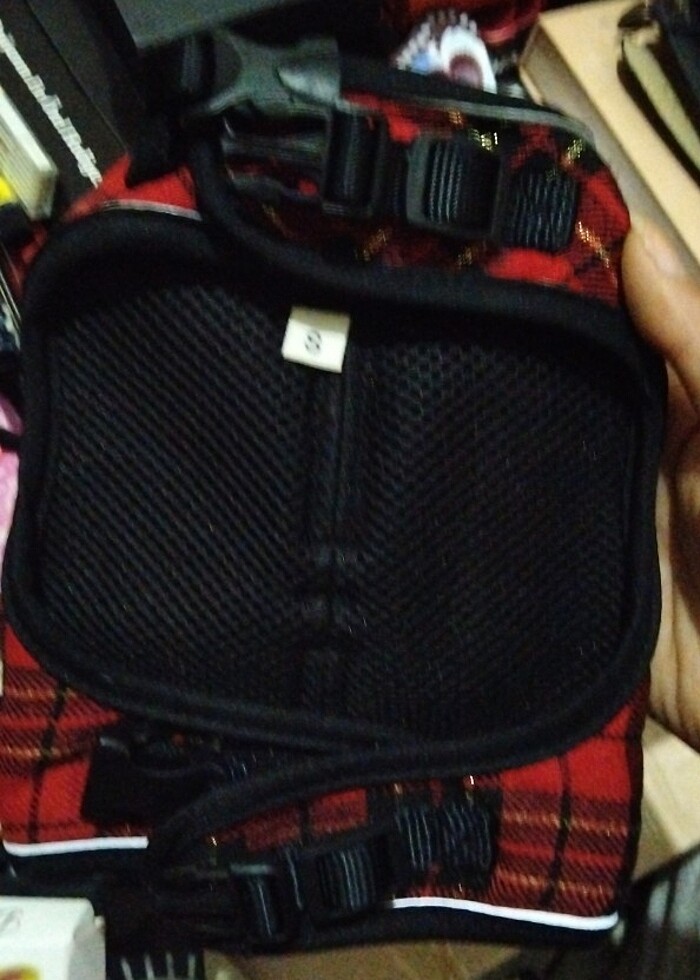 Kedi köpek bel tasması - Görsel 2