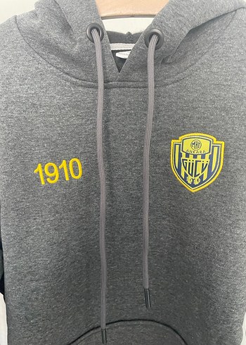 Gri Kapüşonlu Nakışlı Sweatshırt - Görsel 10