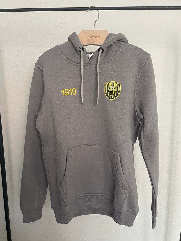 Gri Kapüşonlu Nakışlı Sweatshırt - Görsel 5