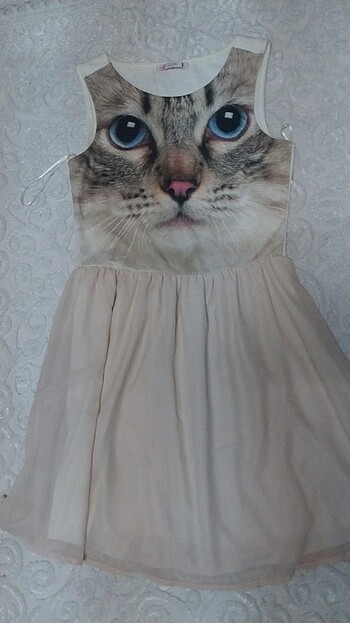 Kedi baskılı elbise