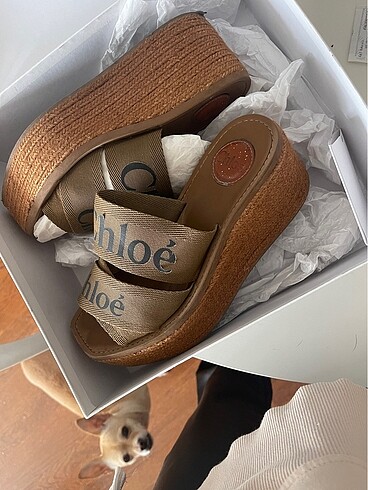 Chloe Woody Wedge Espadril (Grown Brown)