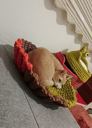 Kedi yatağı 