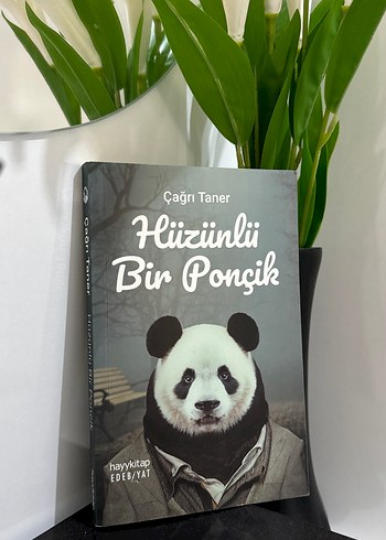 Hüzünlü Bir Ponçik - Çağrı Taner
