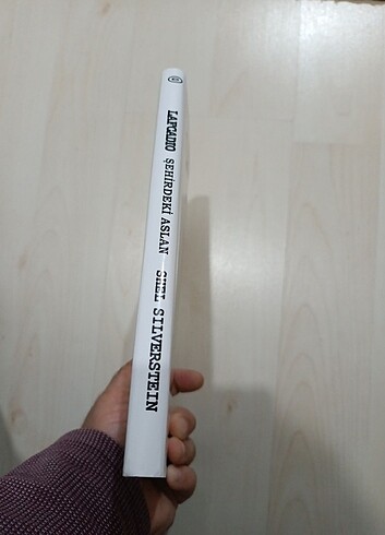 Şehirdeki Aslan  - Görsel 3