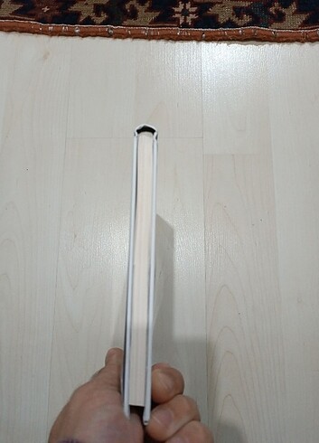 Şehirdeki Aslan  - Görsel 4