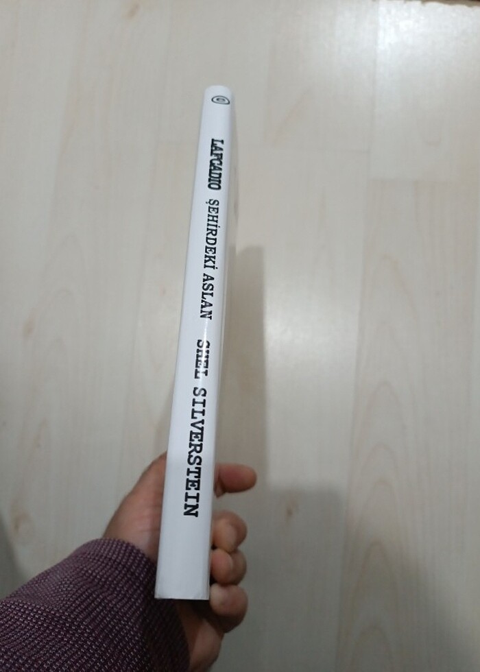 Şehirdeki Aslan  - Görsel 3