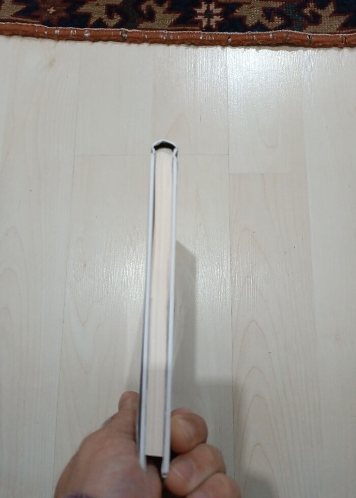 Şehirdeki Aslan  - Görsel 4