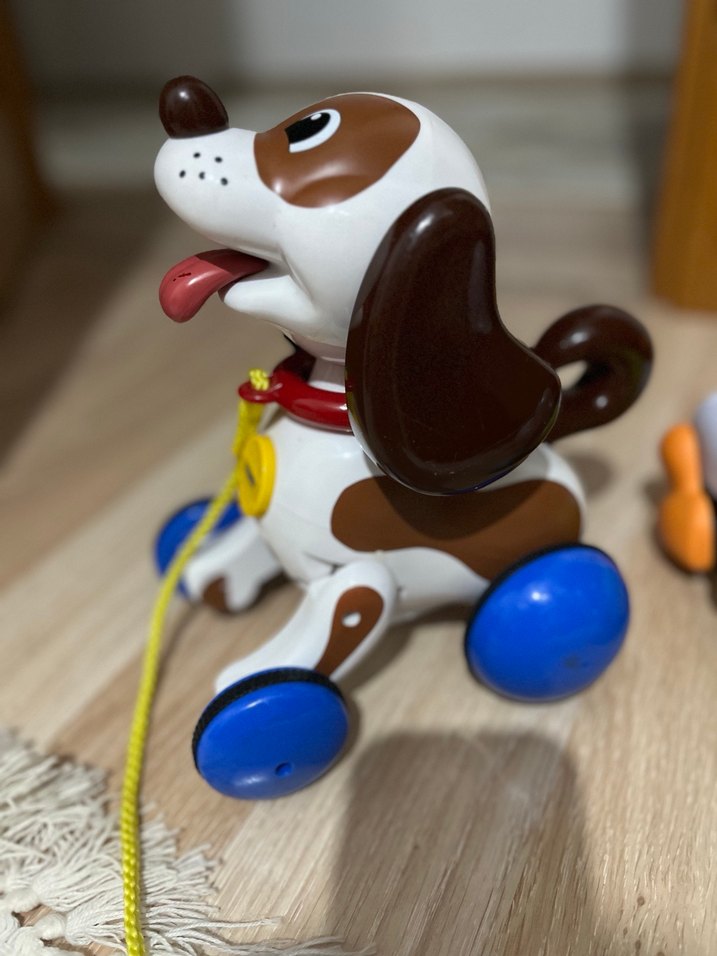 Renkli Çek-Çek Köpek Oyuncakları - Görsel 2