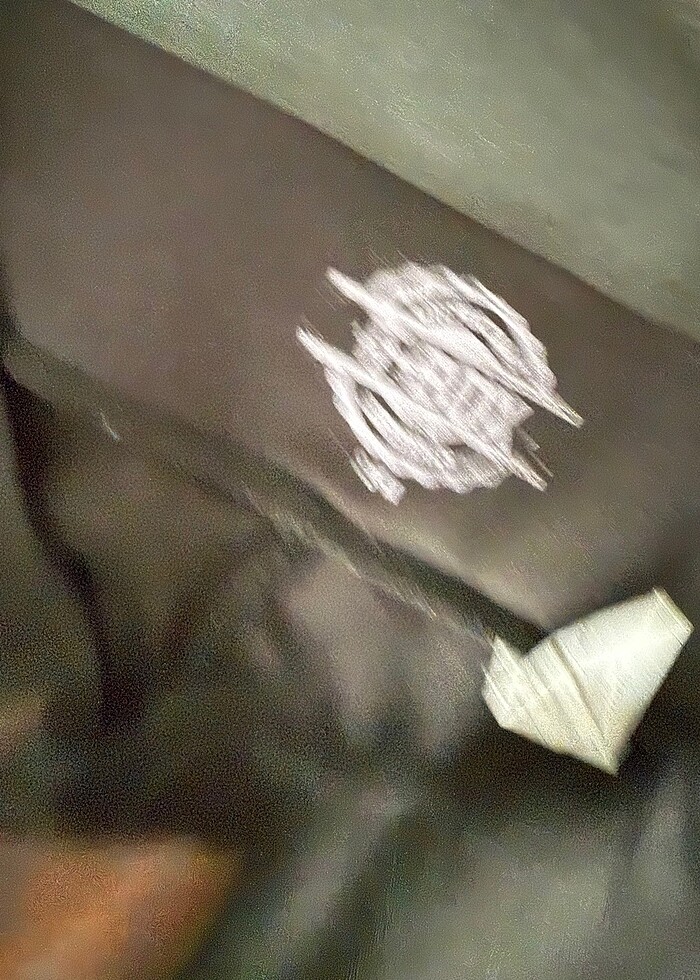 T box diz altı tayt - Görsel 2