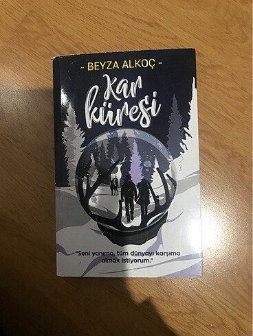 Beyza Alkoç: Kar Küresi
