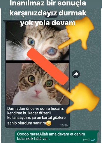 Dide-i Nur Göz için serum - Görsel 6