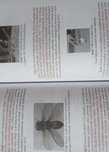 Biyoloji 3 - Lisans Yayıncılık - Görsel 3