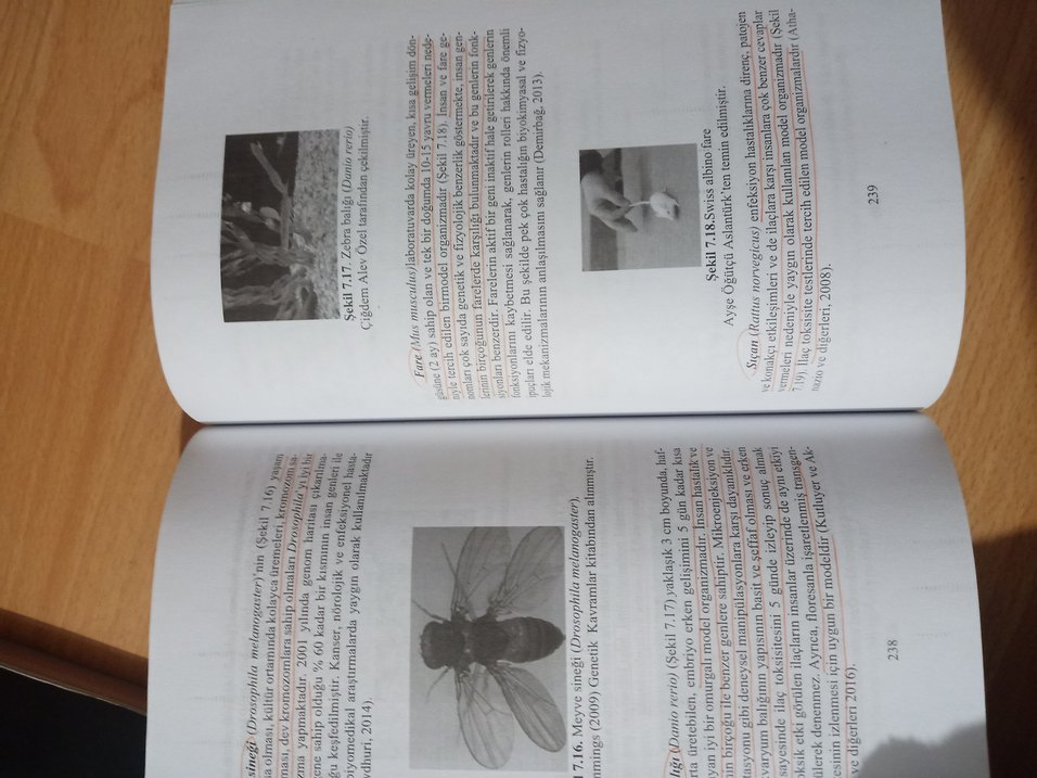 Biyoloji 3 - Lisans Yayıncılık - Görsel 3