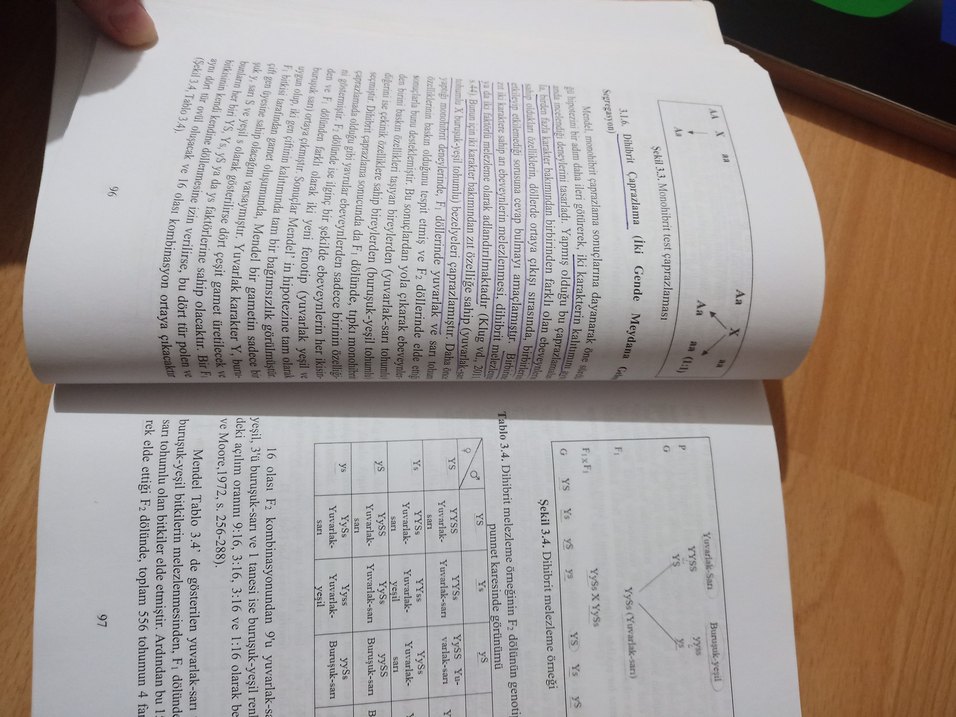 Biyoloji 3 - Lisans Yayıncılık - Görsel 5