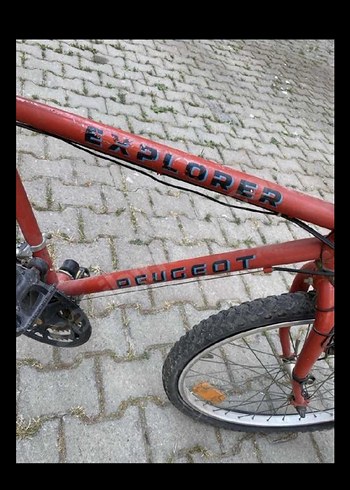 Pegaut Dağ Bisikleti - Görsel 2